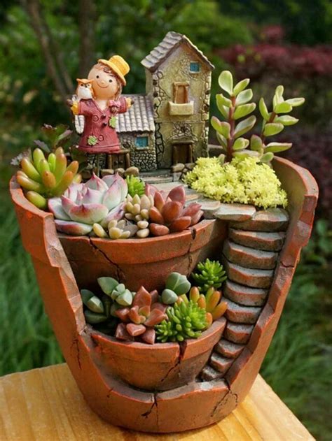 Types of succulent plants | Building and Interiors