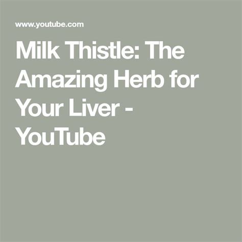 Milk Thistle The Amazing Herb For Your Liver Youtube Milk Thistle