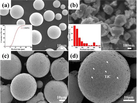 SEM Images Of The Powders Morphologies Used In This Work A