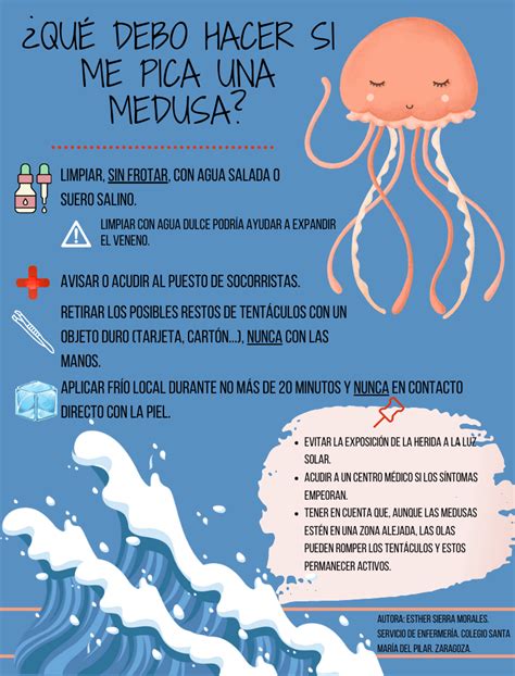 Qué debo hacer si me pica una medusa Colegio Santa María del Pilar