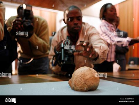 Homo habilis fossils hi-res stock photography and images - Alamy