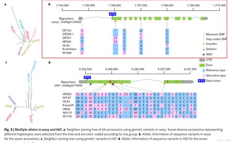 跟着nature Genetics学画图：r语言ggbio包画基因结构图wx6221d9080e88d的技术博客51cto博客