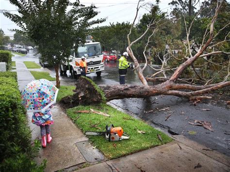 Sydney Storms Thousands Of Homes Without Power As Rain Wind Lash Nsw