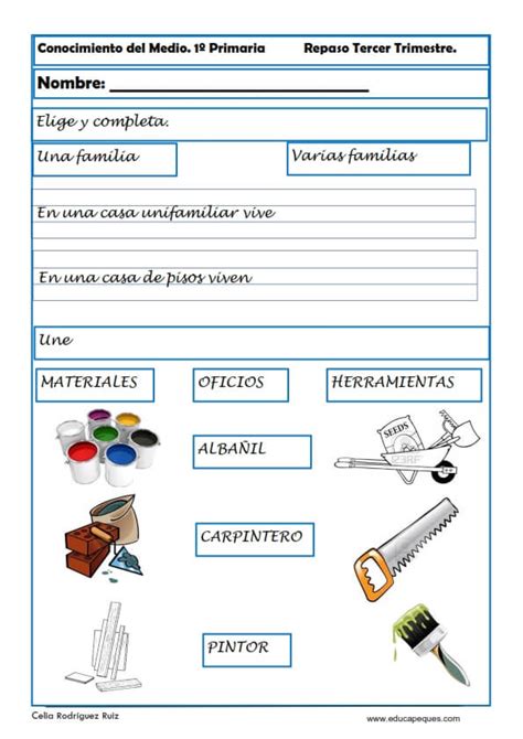 Ejercicios De Conocimiento Del Medio Para Primaria