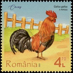 Stamp Rooster Gallus Gallus Romania Poultry Mi Ro Yt