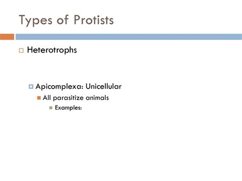 The Eukaryotes. - ppt download