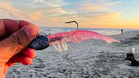 Pesca De R Balos De Playa Pesca Con Camar N Artificial Vinilo Youtube