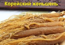 Чёрный женьшень | Корейский женьшень купить в Москве