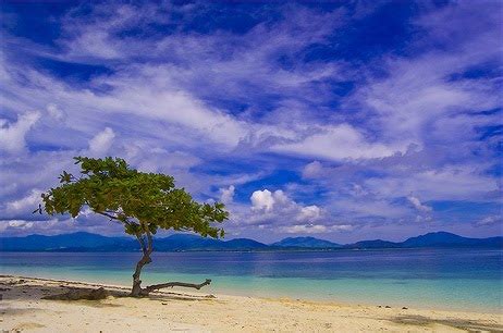 AMAZING PUERTO PRINCESA, PALAWAN PHILIPPINES: puerto princesa palawan