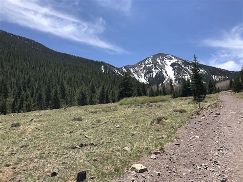 Inner Basin Trail Hiking Trail Flagstaff Arizona