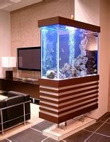 Настенный аквариум: разновидности, особенности установки | Дом Мечты