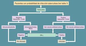 Indicaciones e interpretación clínica de la prueba de la tuberculina