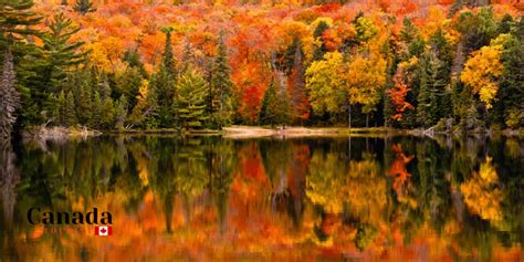 Algonquin Park Fall Colours - Canada Tourist