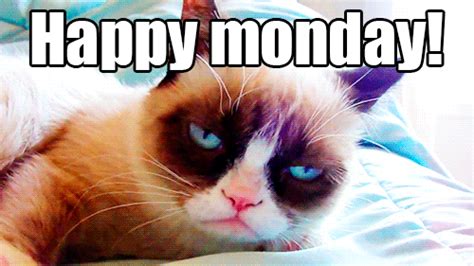 Monday GIFs - The Best GIF Collections Are On GIFSEC