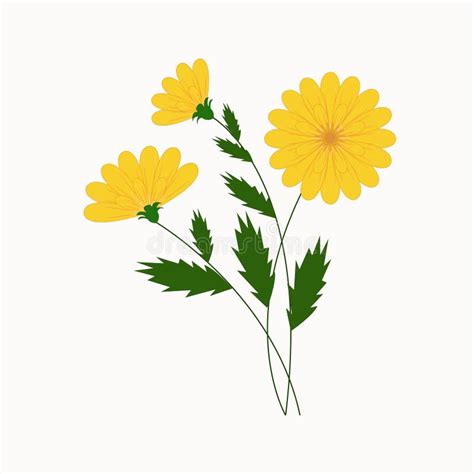 Vektorillustration Sch Ne Gelbe Blumen Vektor Abbildung Illustration