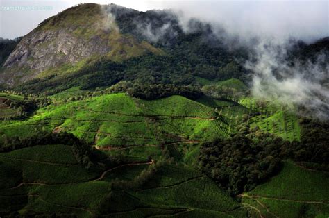 Eravikulam National Park Munnar Tramptraveller