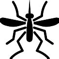 Detail Mosquito Vector Png Koleksi Nomer