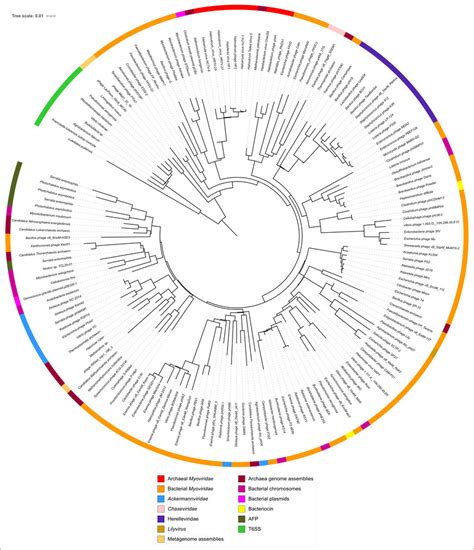 Circular Tree Constructed With 153 Sheath Proteins Based On Structural