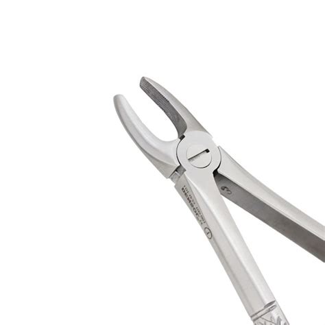 Extraction Forceps Upper Incisors Canines Fig Densol Au