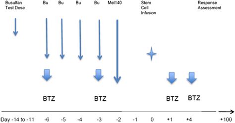 Treatment Schema Following a Busulfan (Bu) test dose (0.8mg/kg) prior ...