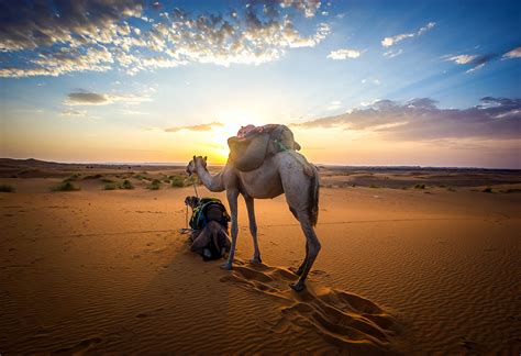 Discovering Morocco Travel Desert Tours Day Trips Moroccan Excursions