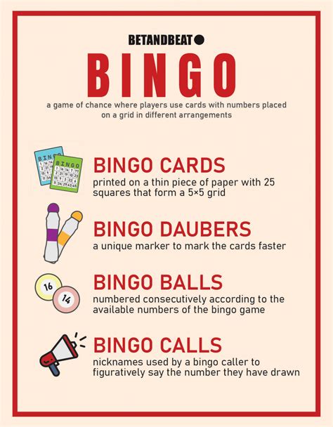 Bingo Guide How To Win At Bingo Online In Halls And Faq