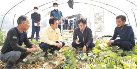 태풍 힌남노 농협금융 태풍 피해지역 종합지원 파이낸셜뉴스