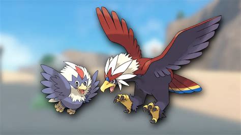 What is the best moveset for Braviary in Pokemon GO? (July 2023)