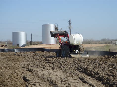 Bioremediation Technology Recent Advances