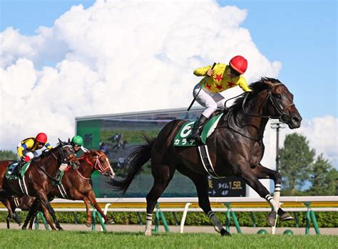 競馬初心者必見馬券予想🔥〜新潟記念〜良血の1番人気をバッサリ切って勝負🔥 ハムスターブログ🐹〜ハムハムしながら競馬と株を嗜む〜