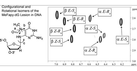 Configurational And Conformational Equilibria Of N6 2 Deoxy D Erythro