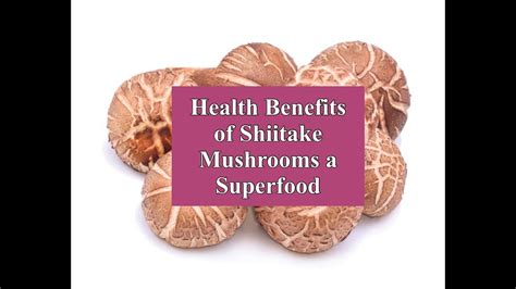 Health Benefits Of Shiitake Mushrooms A Superfood Youtube