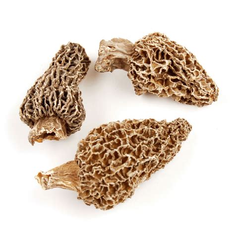 Morel Mushrooms Dried Mushrooms, Mushrooms- Ultrafoods Food Service ...