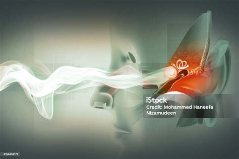 The Anatomical Structure Of The Human Ear Sound Wave And Ear With Middle Ear Otitis Auditory