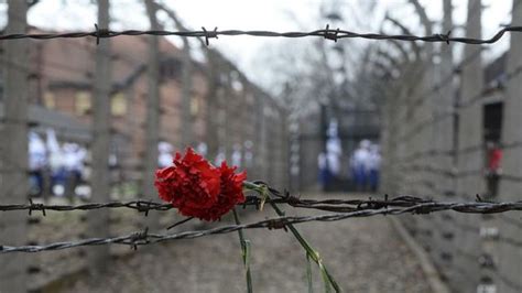 Onde Estão Mais De 1 Milhão De Vítimas Perdidas Do Holocausto Bbc