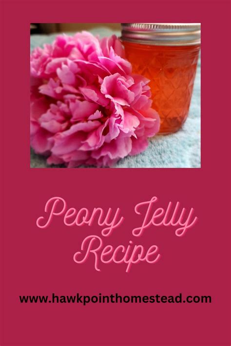 Peony Jelly Recipe Fun Edible Flowers Hawk Point Hobby Homestead