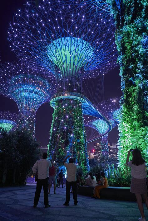 ArtStation - Cloud Forest Night - Gardens By The Bay - Singapore ...