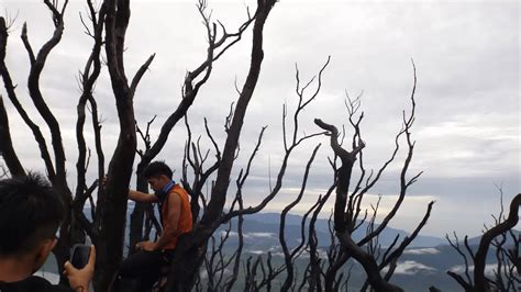 Sensasi Pagi Hutan Mati Dan Pesona Tiga Danau Gunung Talang Regional