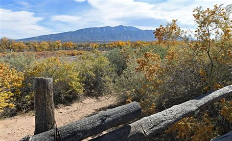 Rio Grande River Valley Fall Colors Stock Photo - Image of outdoors ...