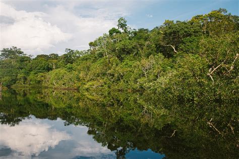 The Amazon is losing its resilience to climate events | Popular Science