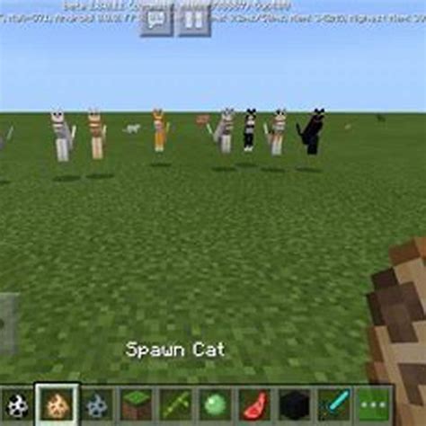 What is the easiest way to tame a cat in Minecraft? - DIY Seattle