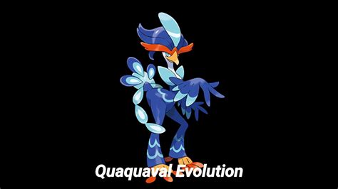 Quaquaval Evolution Pokemon Quaquaval Quaxly YouTube