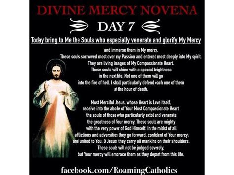 Deepertruth Divine Mercy Novena Day Eucharistic Miracle Brussels