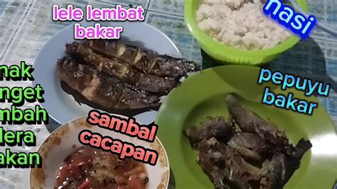 MUKBANG IKAN LELE BAKAR ENAK BANGET BIKIN NAMBAH NASI TERUS SAMBAL