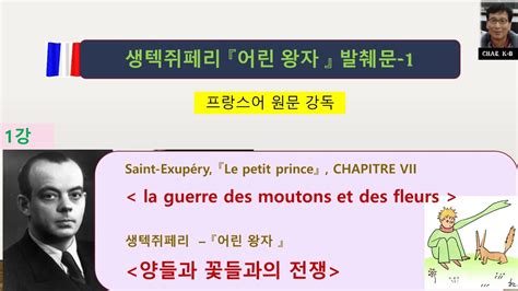 어린 왕자 양들과 꽃들의 전쟁 Le petit prince la guerre des moutons et des