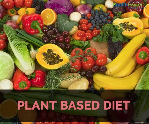 Plant Based Diet Trends Embracing Health And Sustainability Swell Vision