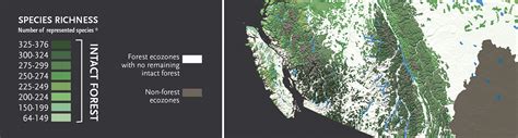 Mapping Canada’s intact forests | Canadian Geographic