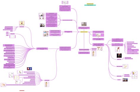 Amplitud Del Movimiento Varguez Lugo Karime Guadalupe Mapa Mental…