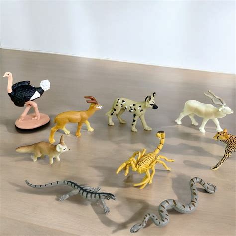 images  animals   sahara desert desert animals teaching wiki