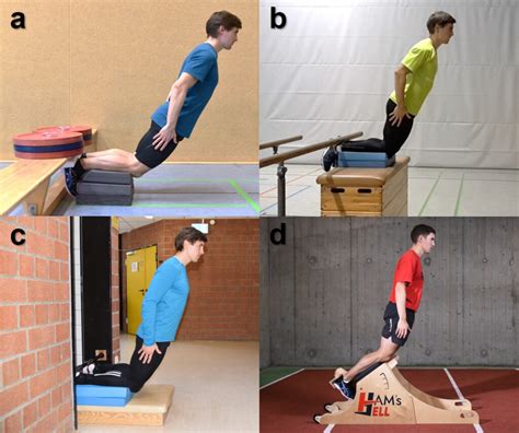 Best Practice Guidelines For Hamstring Training Sportsmith